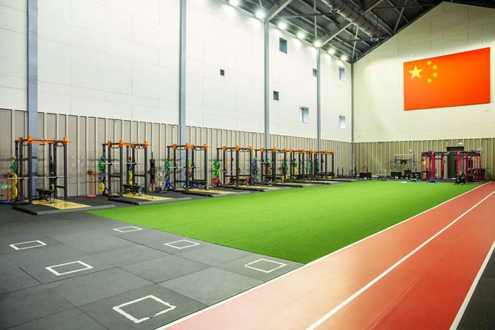 体能训练解决方案-广西今年会jinnianhui体育